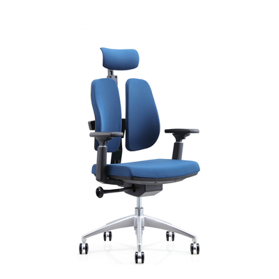 머리 받침과 푸른 줄인 거품 나일론 토대 현대 인체 공학적 의자